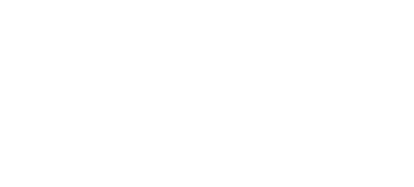 Nexa Prime Logo